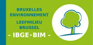 ibge_logo.jpg